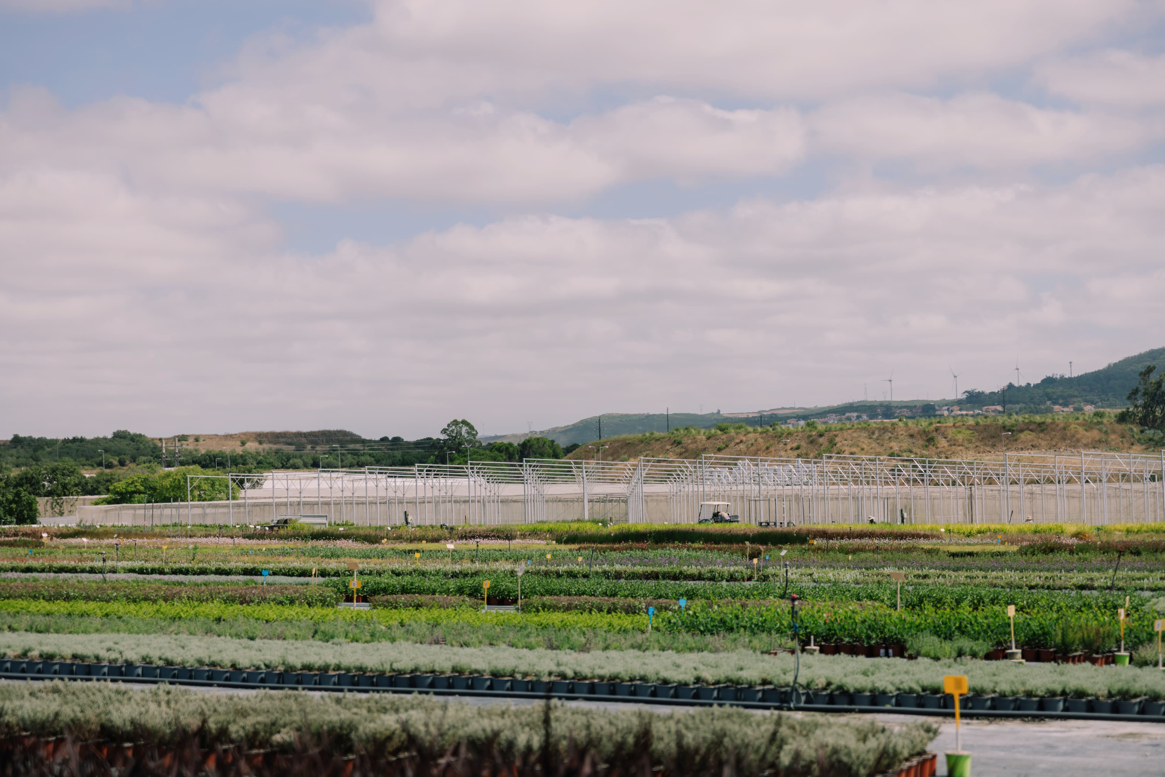 Origem — fundação da empresa, primeiras plantas, equipa original