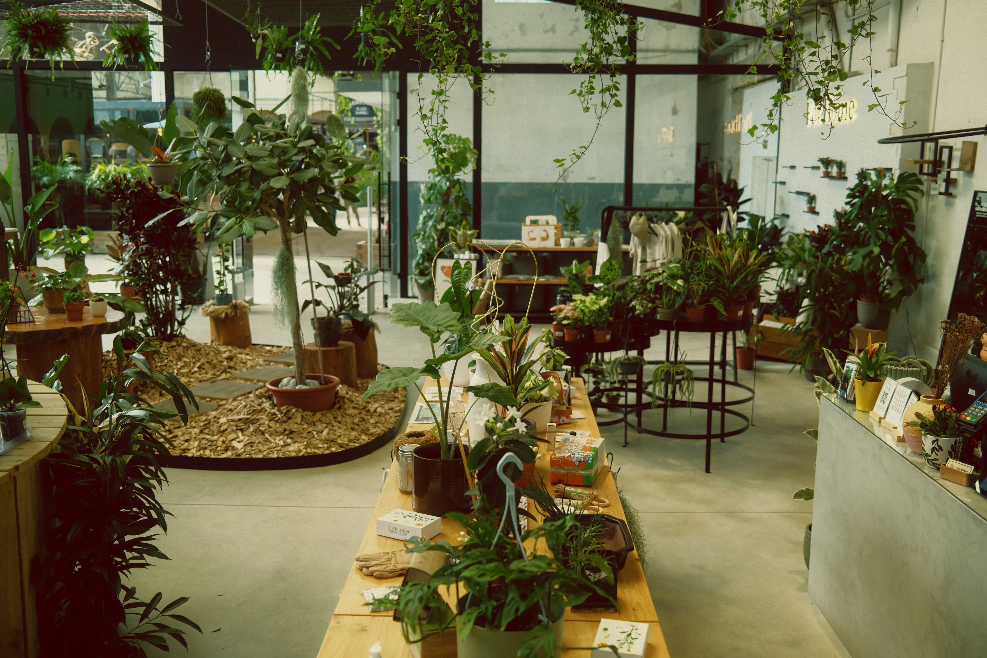 Spaces — interior of Planta Livre for Home at 8 Marvila