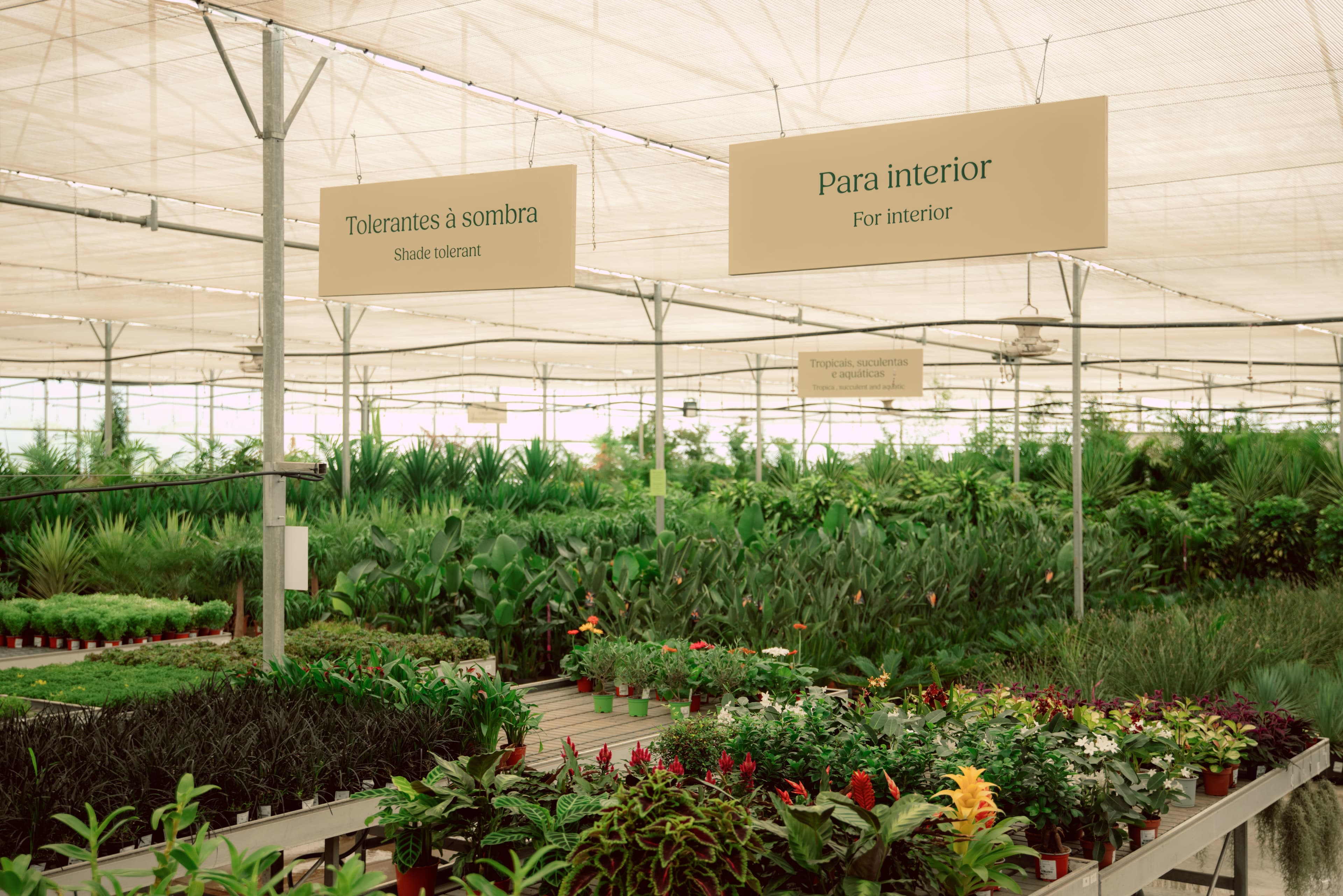 Spaces — store and atmosphere at Sintra Nursery